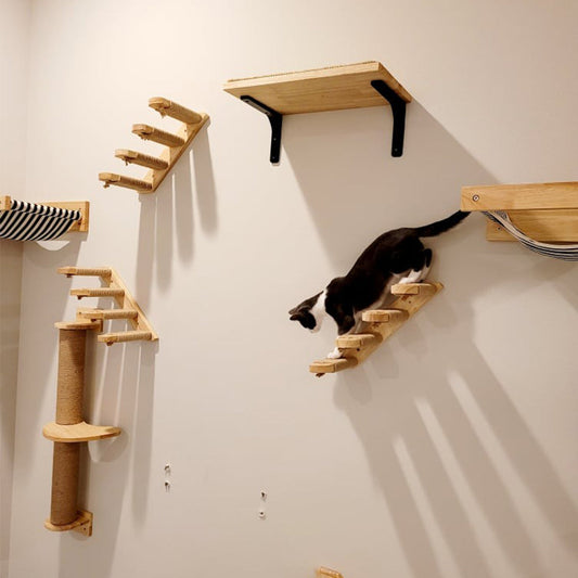 Arbre à chat design : Top 10 à connaître !