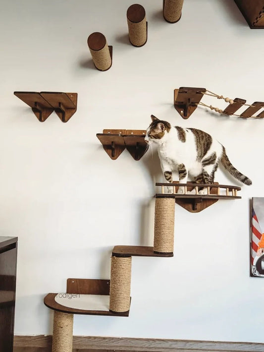 Top 10 des Griffoir pour chat