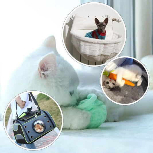 Des jouets pour chat au arbres à chat pour une vie épanouis !