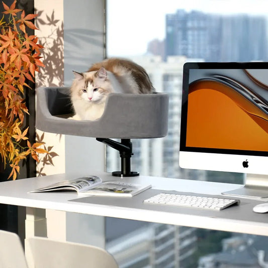 Lit pour chat : Top 5 des nouvelles tendances !