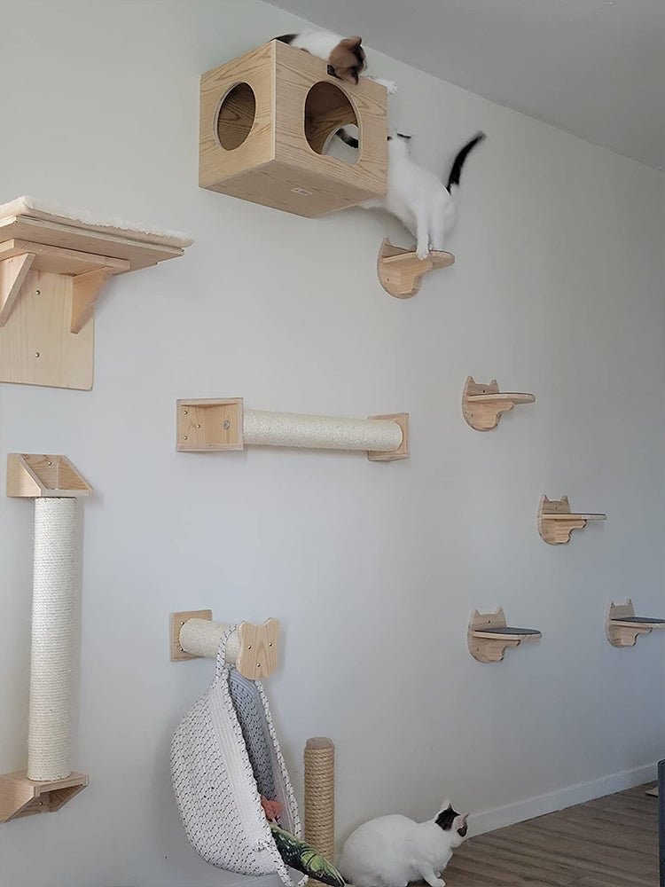 ARBRE À CHAT MURAL-TRIO DE OUF