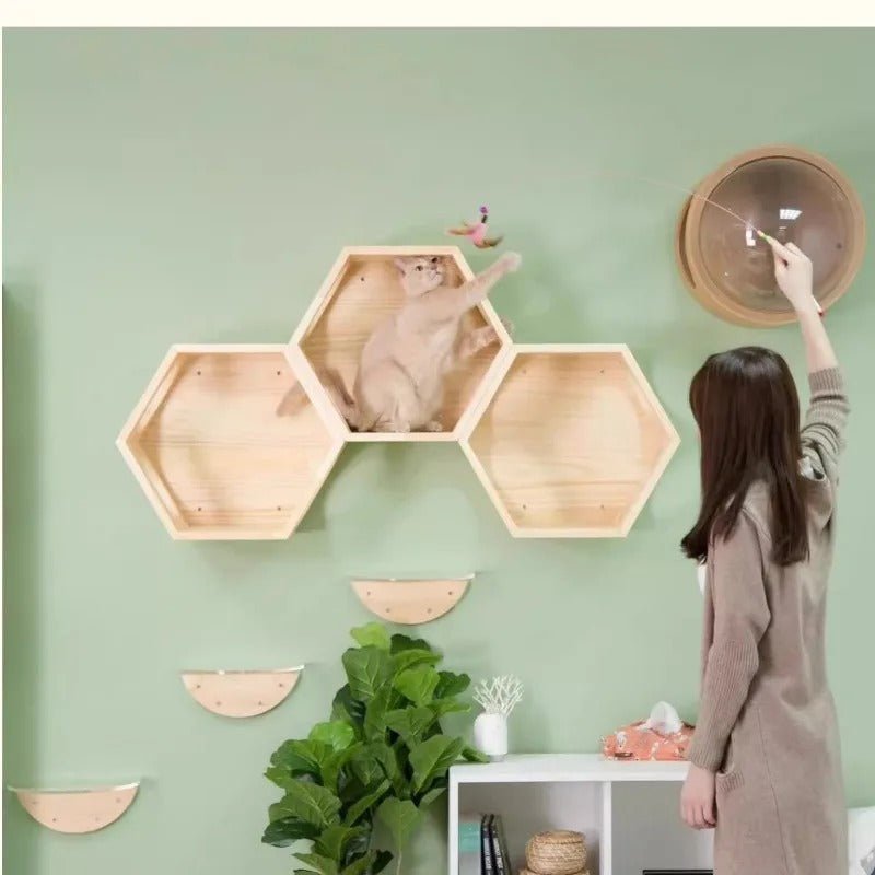 superbe parcours mural avec trois arbre à chat bois naturel ChatVana