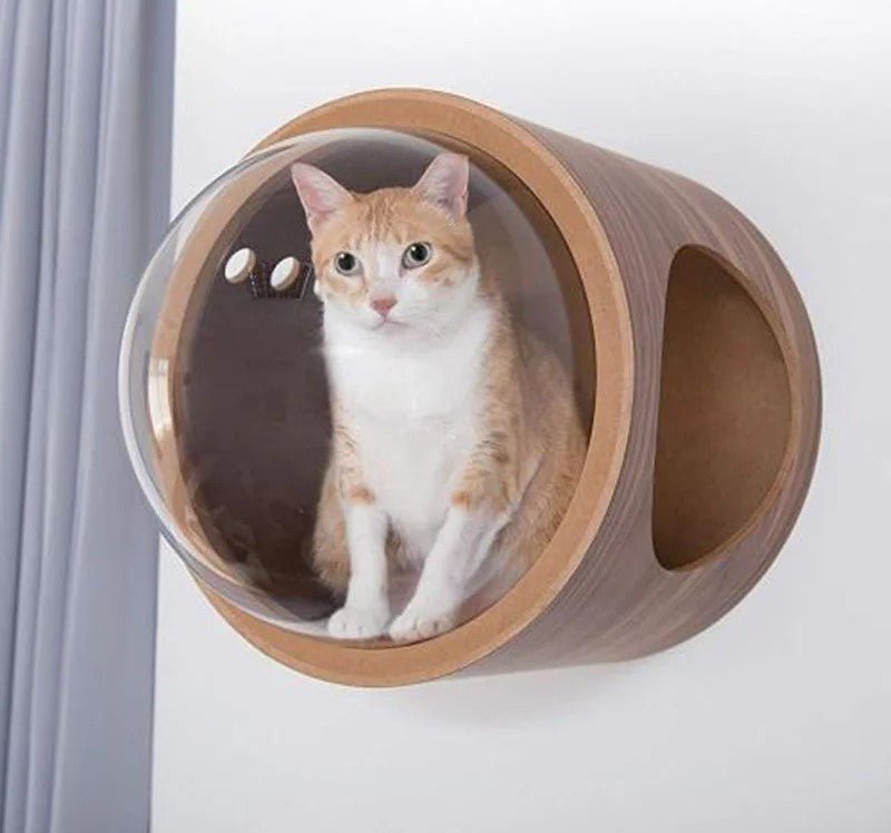 ARBRE Ă CHAT DESIGN - BASE SPATIAL - Passion Murale