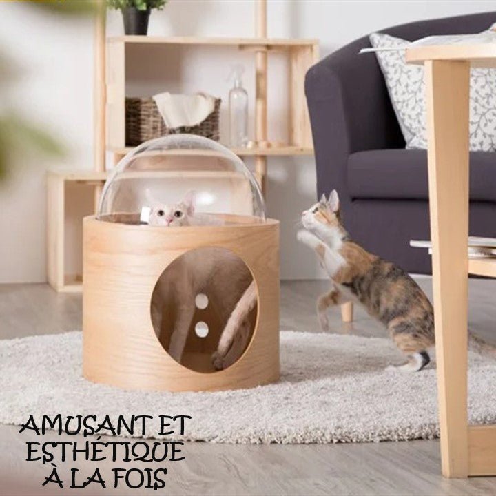 ARBRE Ă CHAT DESIGN - BASE SPATIAL - Passion Murale