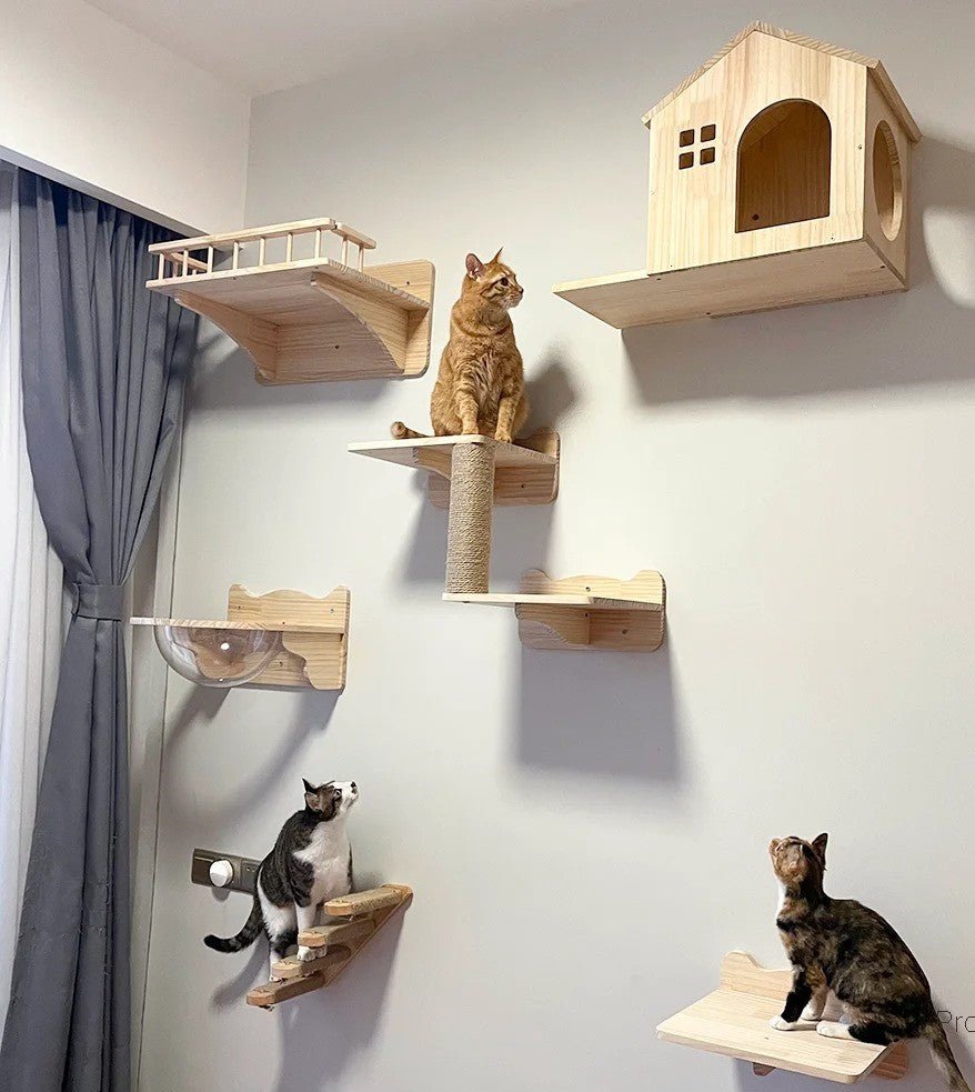 Arbre à Chat Design - Griffes de Bois - Passion Murale