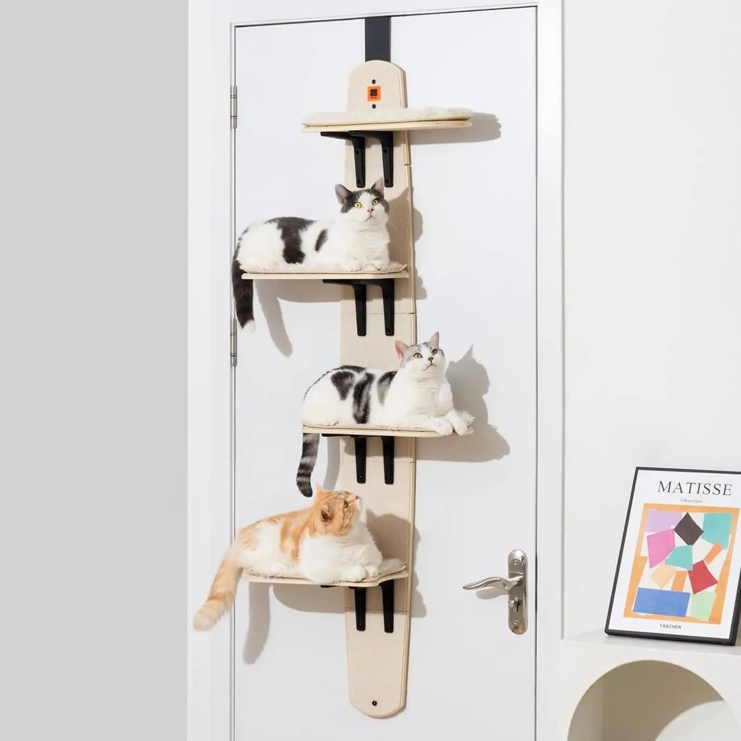 trois chats couchés dans l'arbre à chat design l'arbre à ronrons