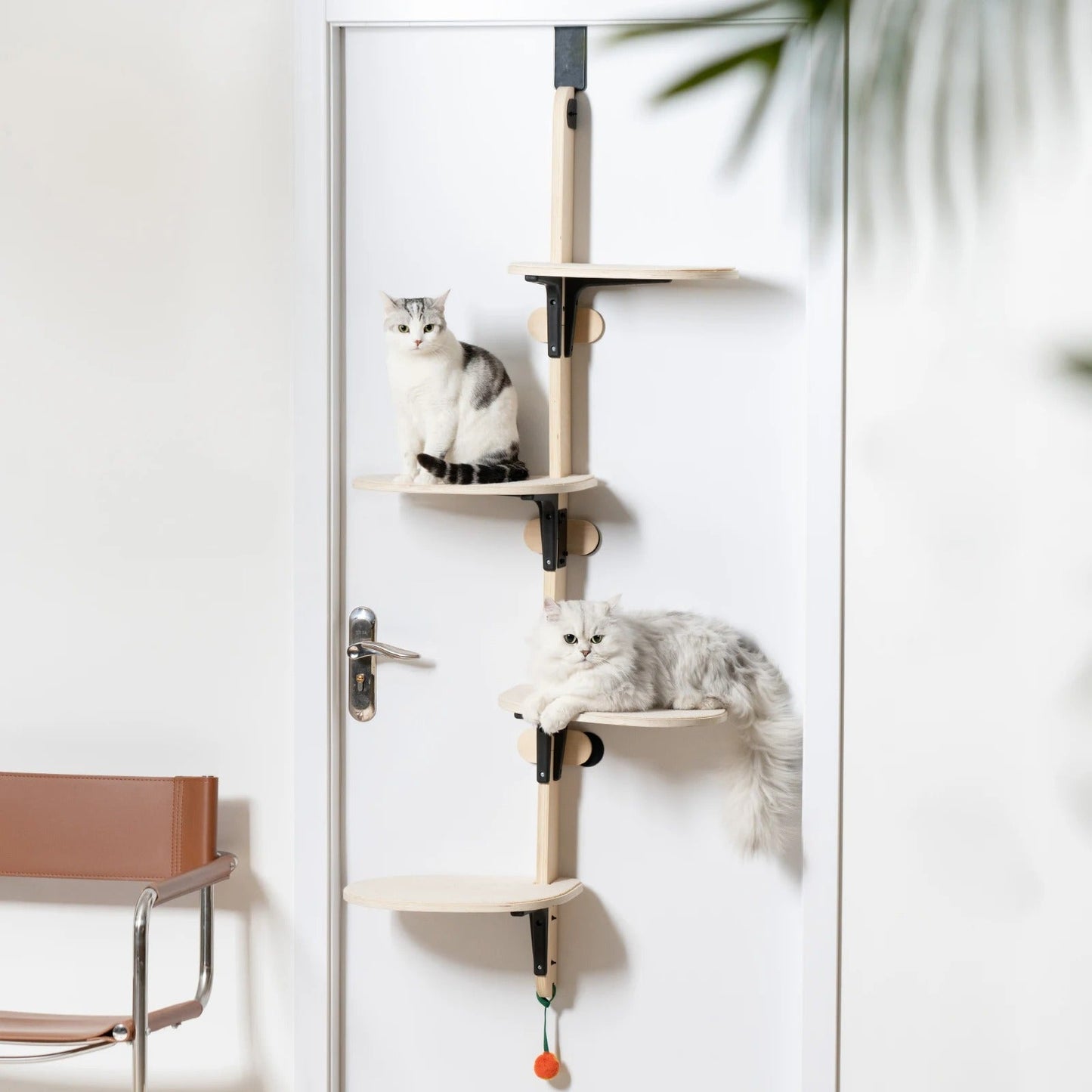 chats assis sur perchoirs de l'arbre à chat design le quatuor félin