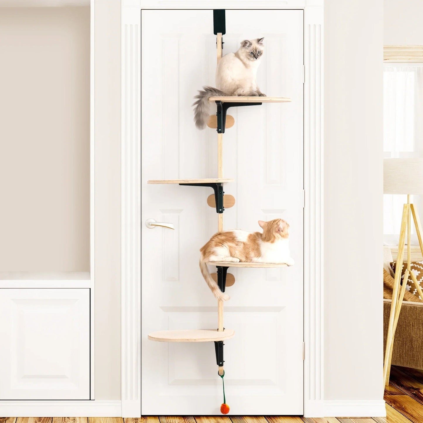 deux chats observes territoire sur arbre à chat design Le quatuor félin