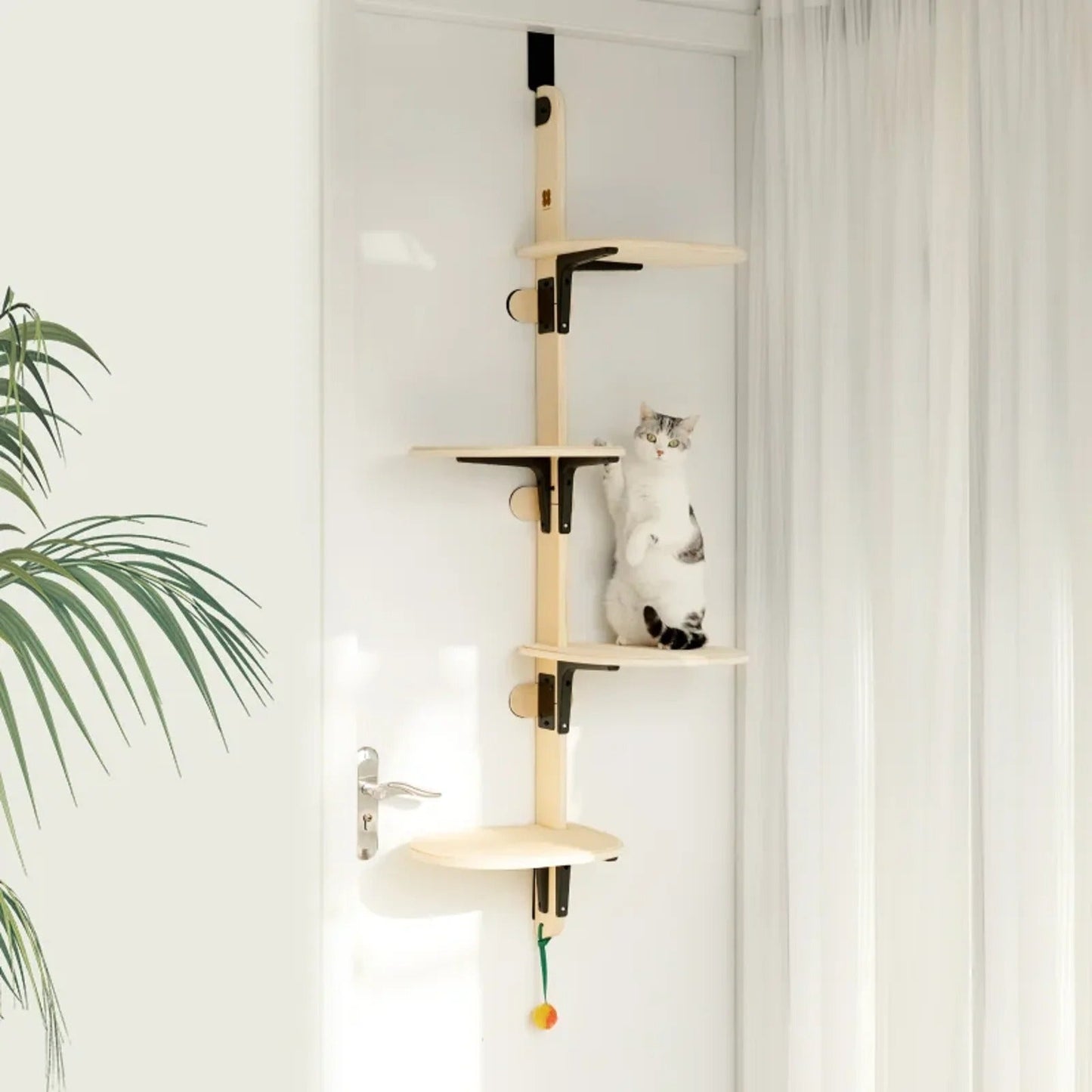 mignonne minette grimpe l'arbre à chat design le quatuor félin