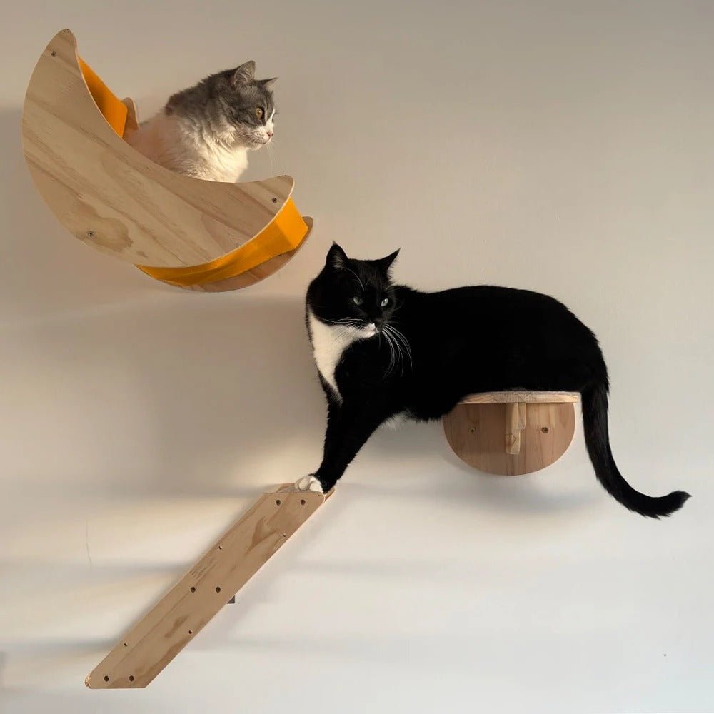 deux chats jouent dans l'arbre a chat mural bois Naturalfeline