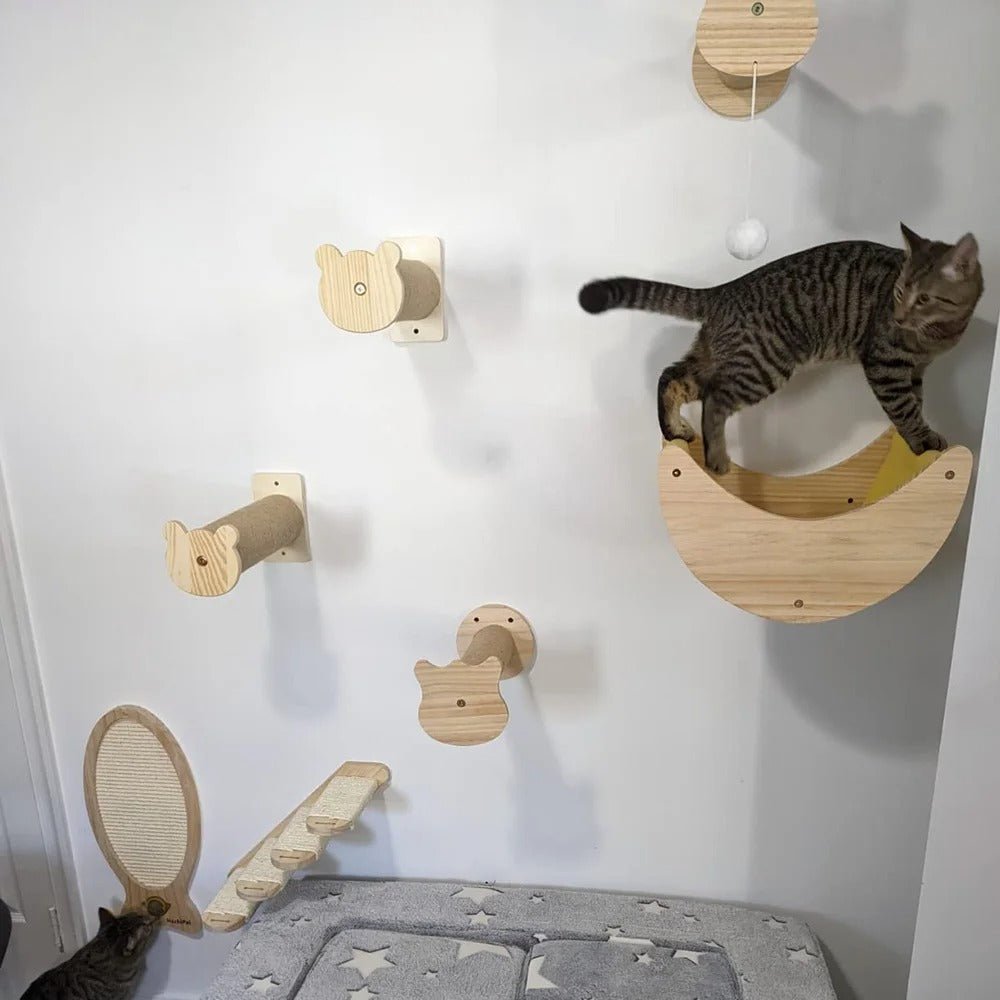 chat s'amuse dans parcours d'arbre a chat mural bois NaturalFeline