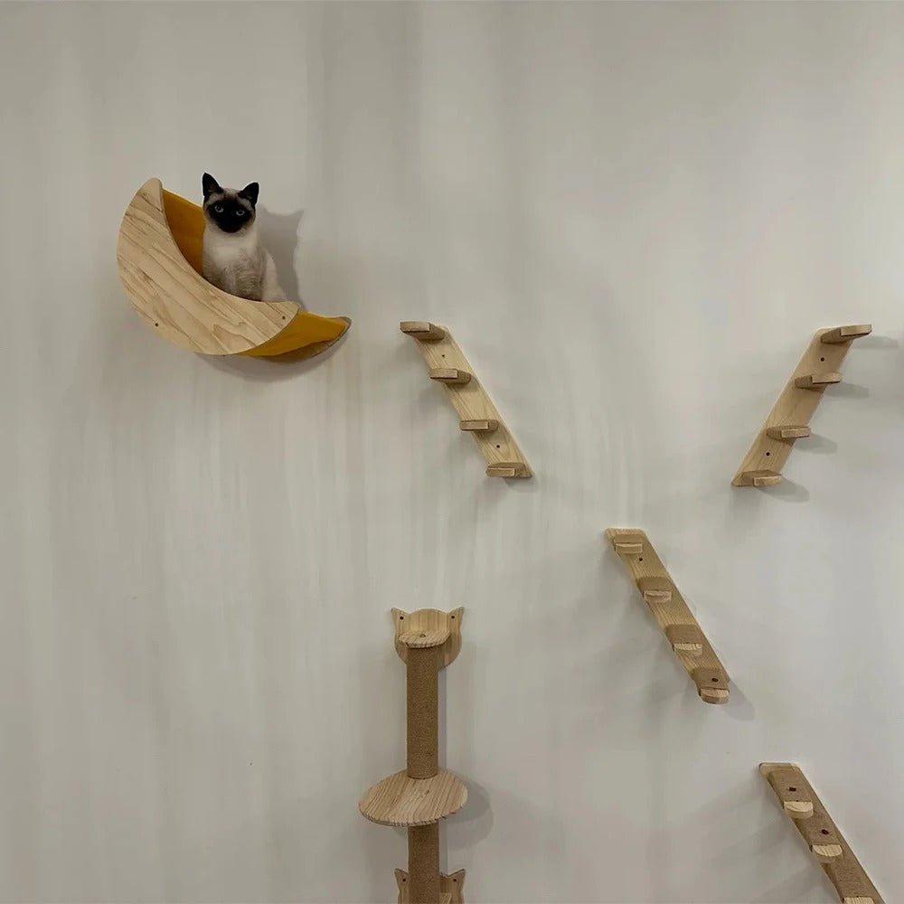 chat assis dans niche de l'arbre a chat mural bois NaturalFeline