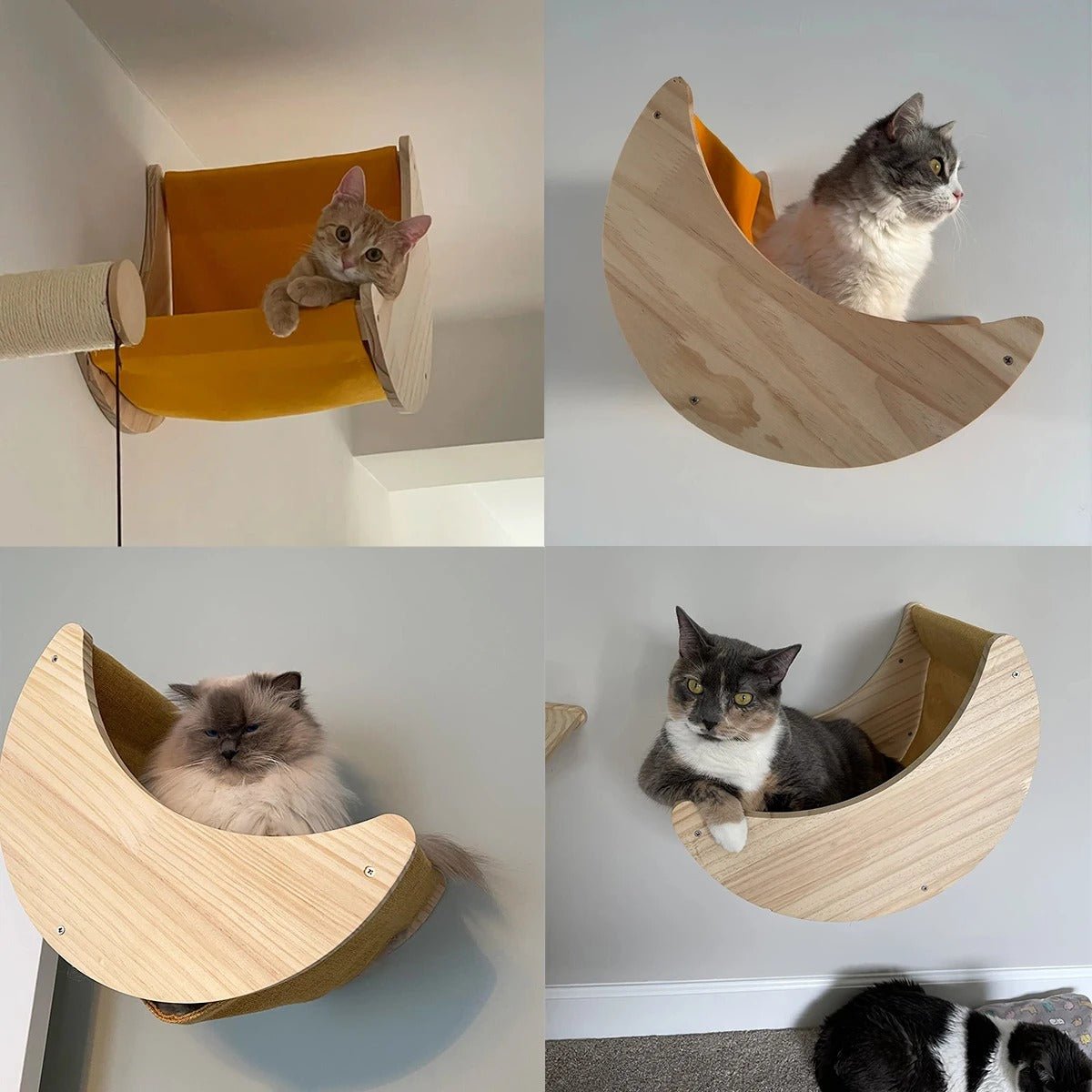 chat relax dans niche demi lune de l'arbre a chat mural bois NaturalFeline