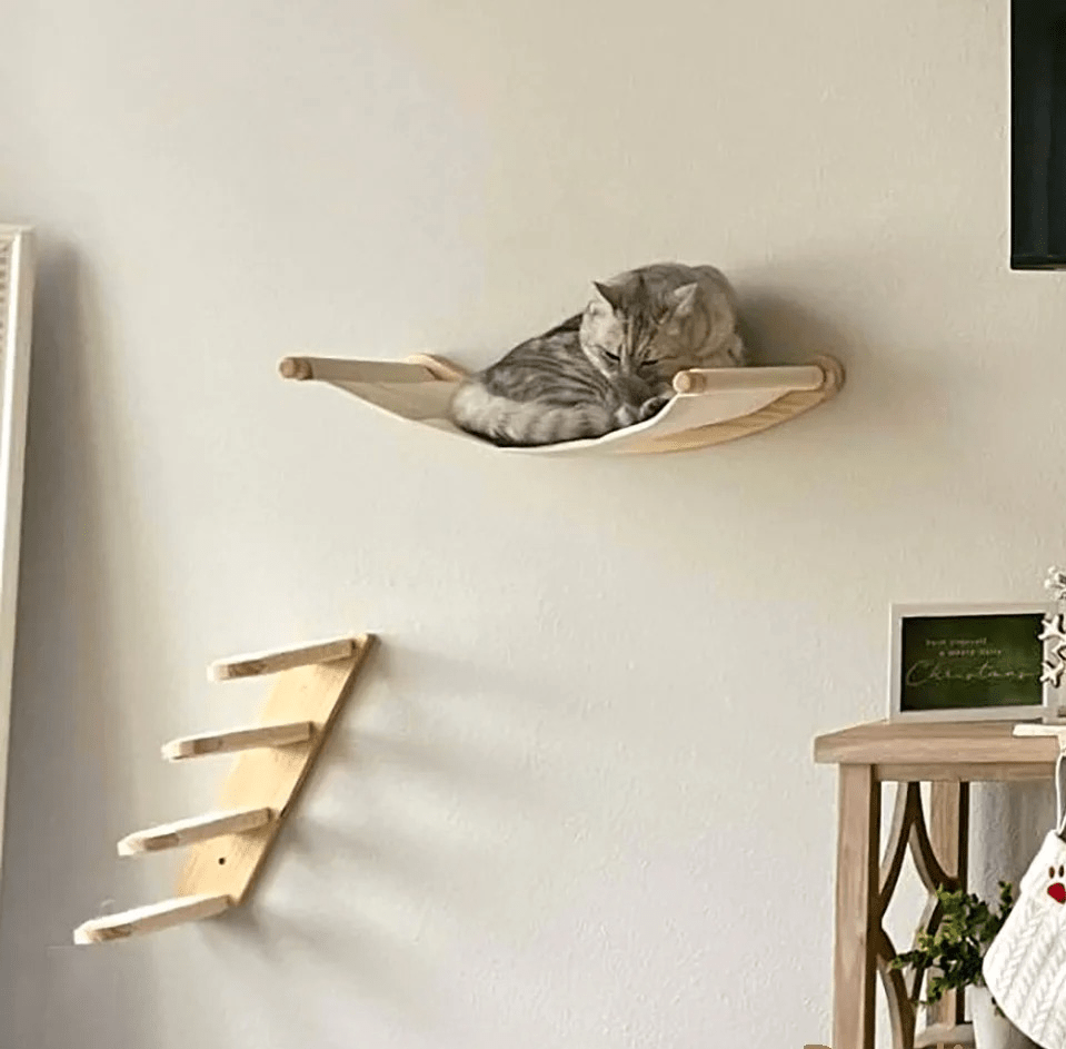 beau minou fait toilette installé dans arbre à chat mural VerticalFélin