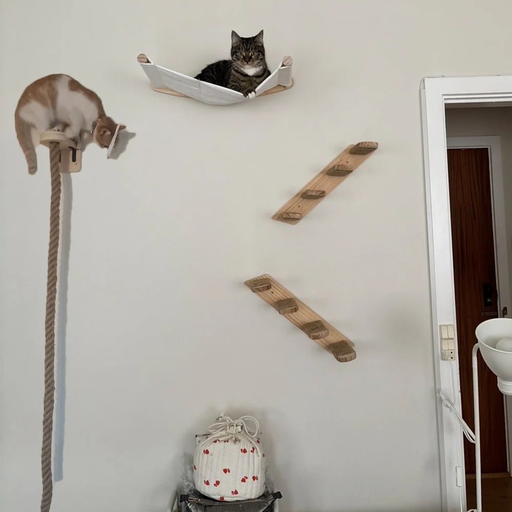 minet couché dans hamac de l'arbre à chat mural VerticalFélin