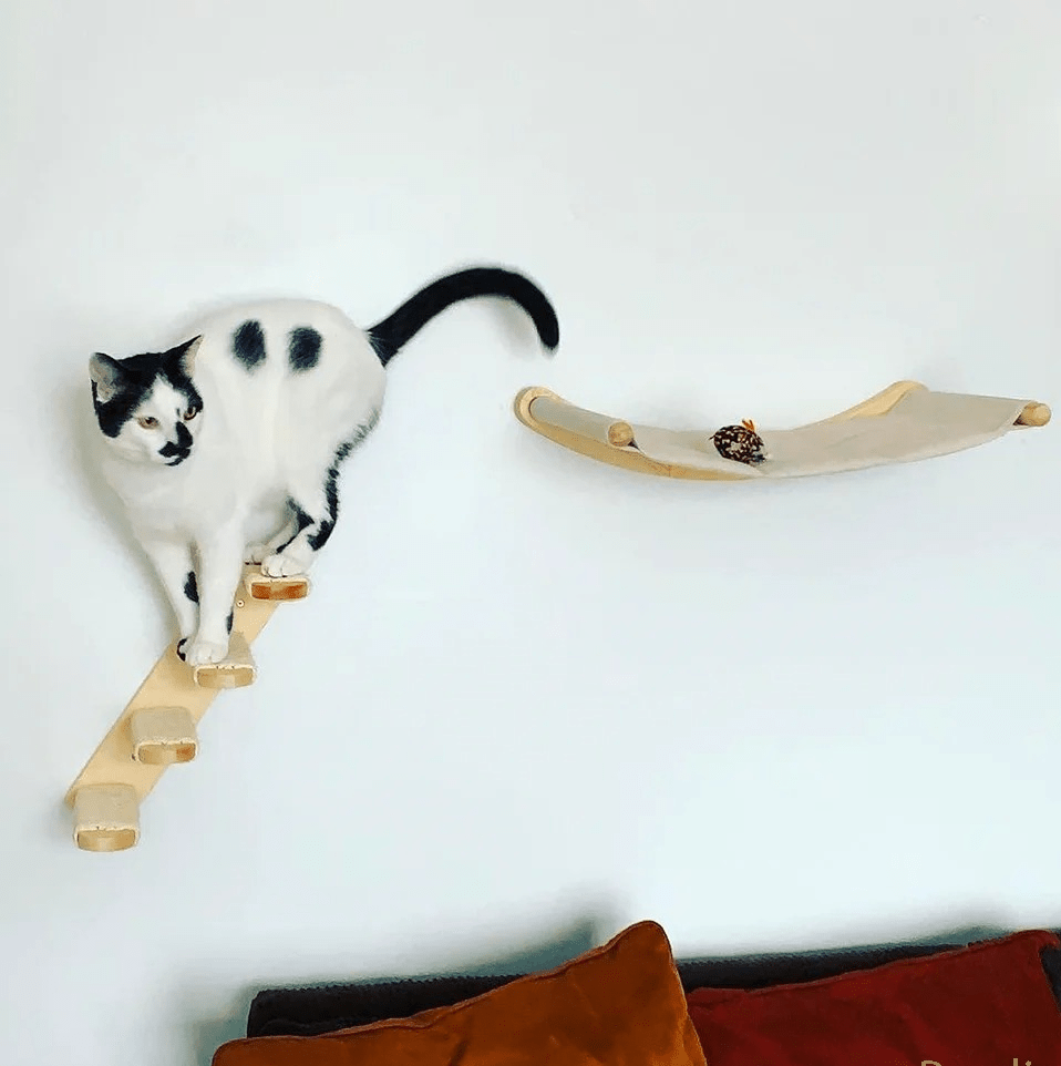 chat promène dans arbre à chat mural VerticalFélin