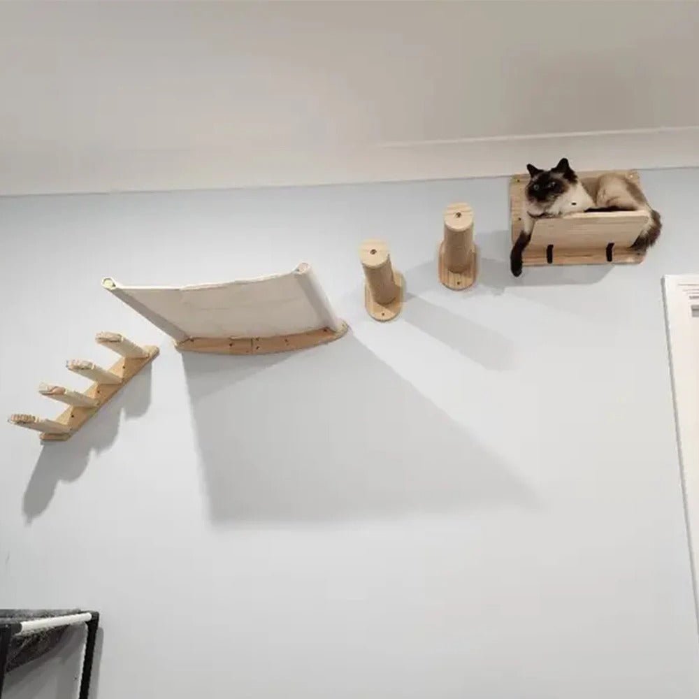 chat repose dans parcours d'arbre à chat mural VerticalFélin