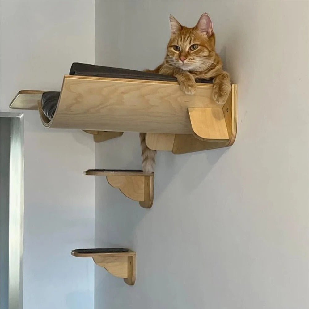 chat roux repose sur arbre a chat murale Félivert