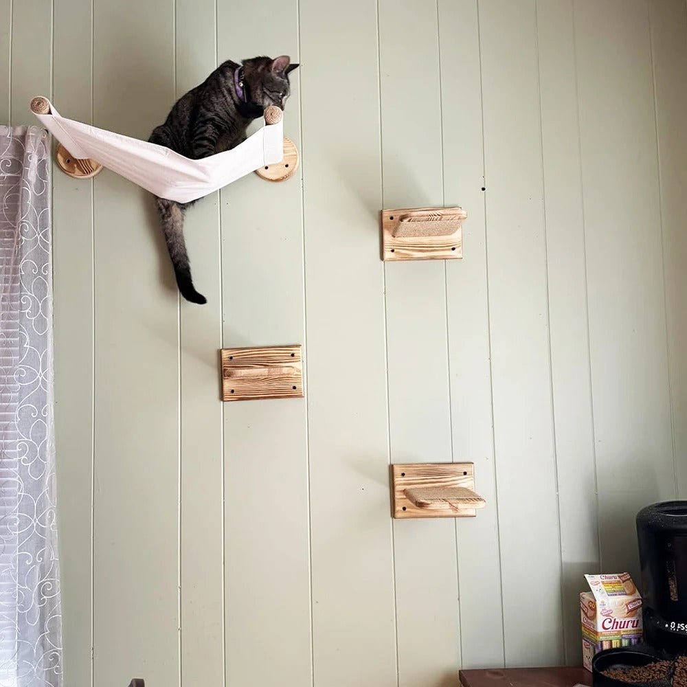parcours arbre chat mural avec chat dans hamac VerticalFlex