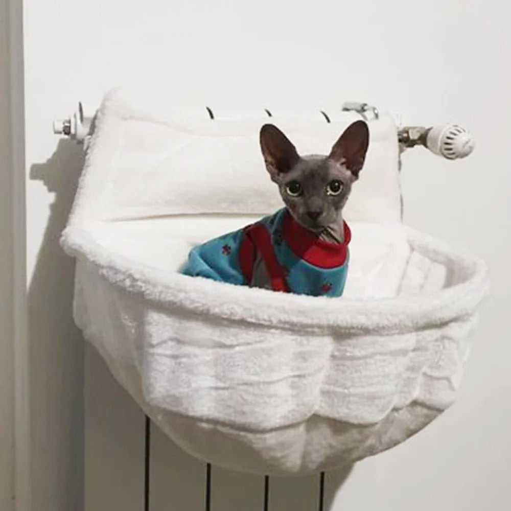 chat confortable lit radiateur