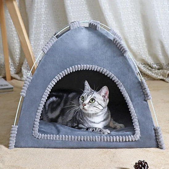 chat couché dedans niche à chat grise félitente