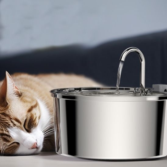 chat fait dodo prêt fontaine à eau chat silencieuse
