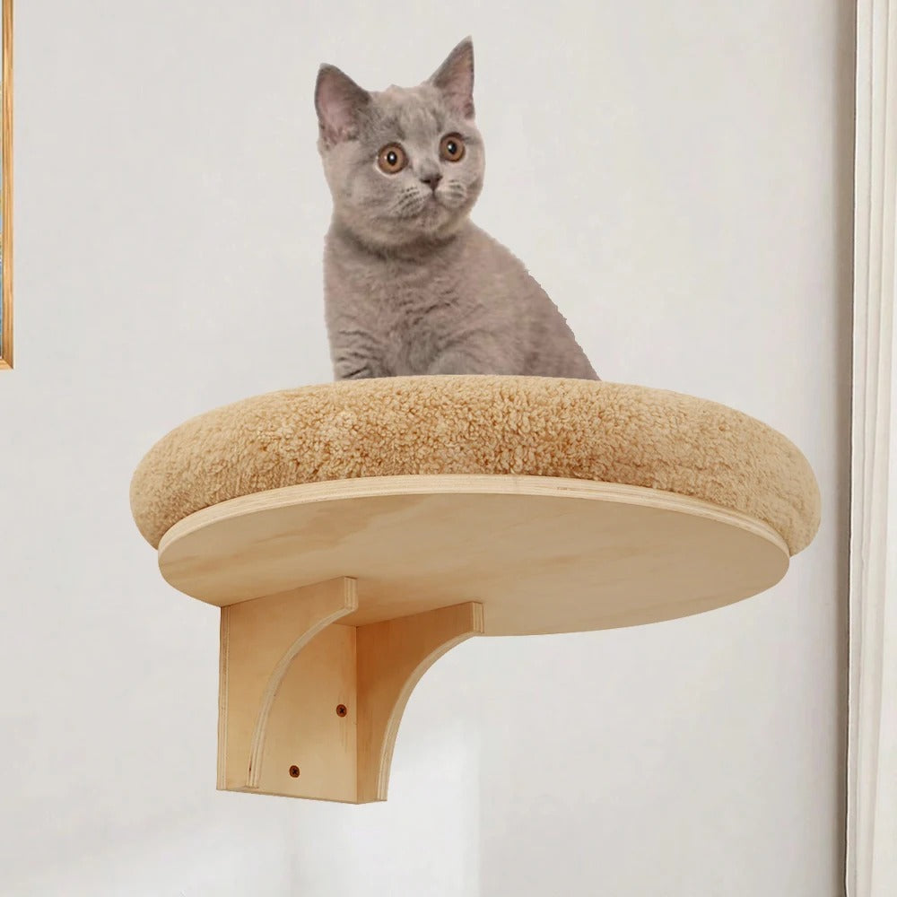 chat gris assis lit rond mural