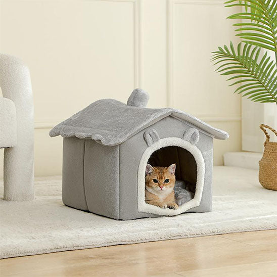 chat regarde territoire securité dedans niche chat chatlet