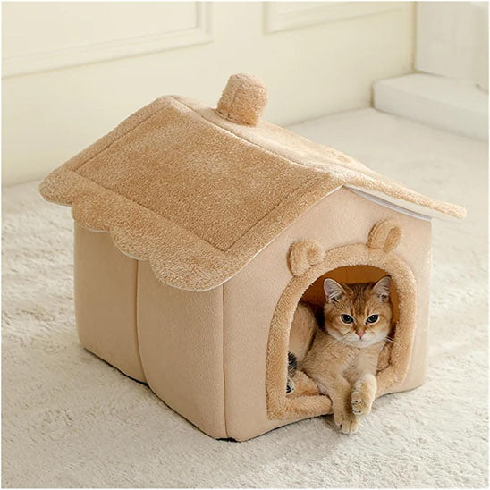 chat roux confortable dedans niche chat beige chatlet