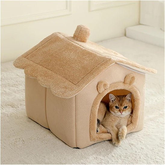 chat roux confortable dedans niche chat beige chatlet