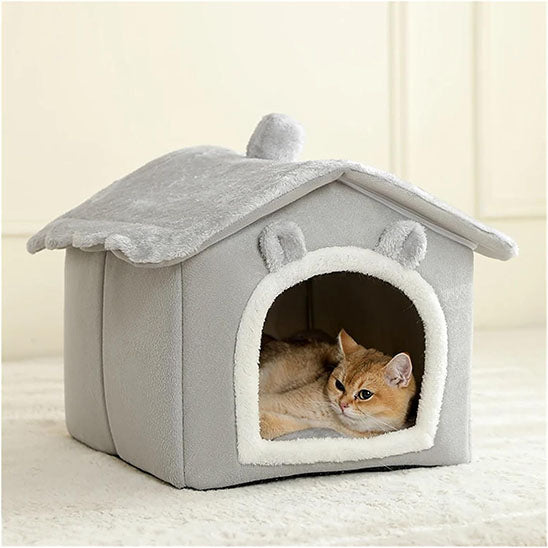 chat roux couché dedans niche chat grise chatlet