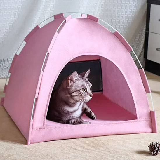 chat tigré regarde territoire couché dedans niche à chat rose félitente