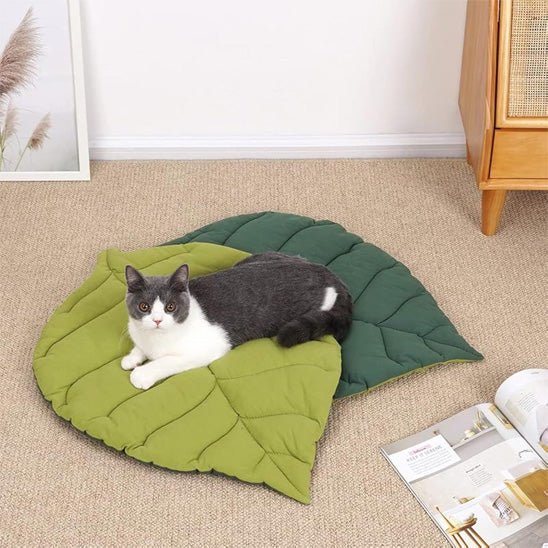 magnifique minou repose dessus coussin chat design feuille ChatDodo