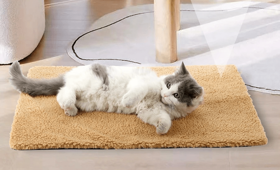 Coussin Chat Chauffant | Chat'perlipopette™ - Passion Murale