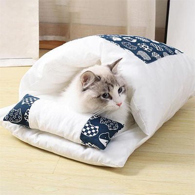 chat observe territoire couché dans coussin chats CoussiChat