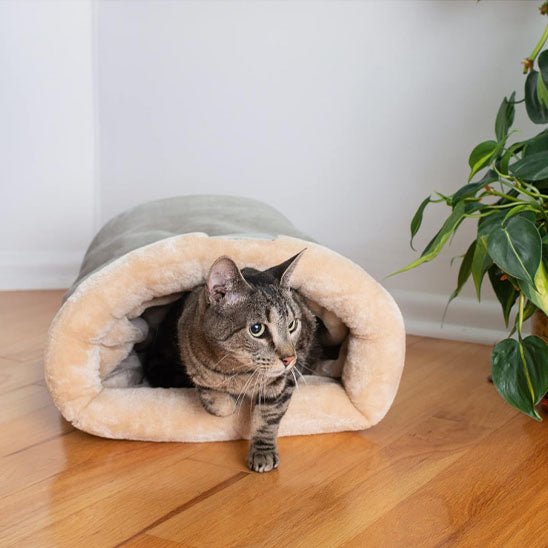 minet sort coussin pour chat Chalax