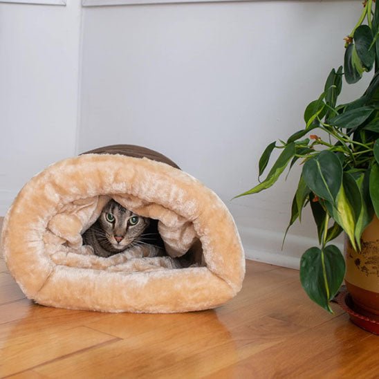 chat enveloppé dans coussin pour chat couleur marron Chalax