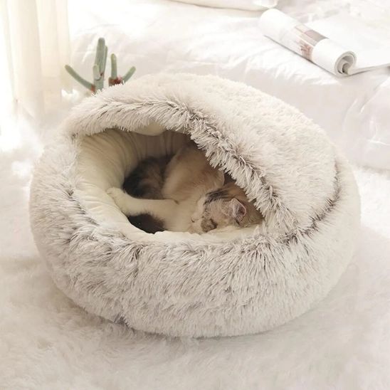 petit minou endormis dedans coussin pour chat Duvet félin