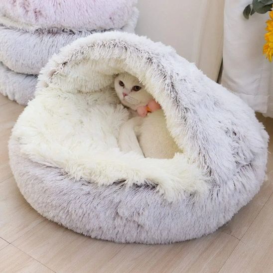 beau minet blotti dedans coussin pour chat Violet Duvet Félin