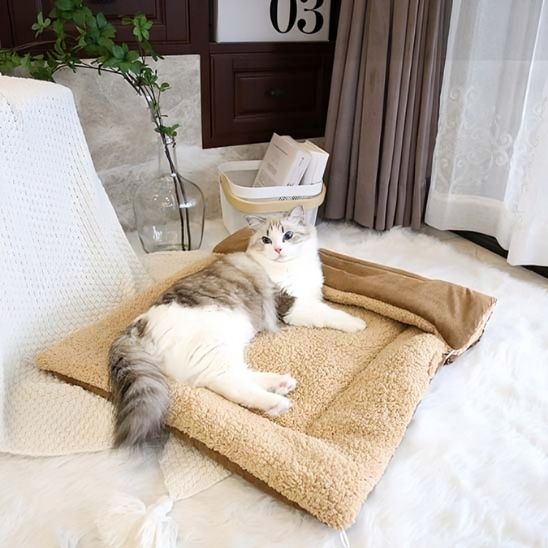 chat bien installé dessus coussin pour chats beige Chat'Confort Plus