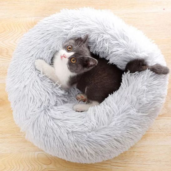 chaton blotti dans coussin pour chats Fluffy Cat
