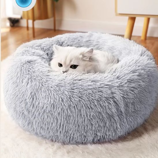minou repose dans coussin pour chats gris Fluffy Cat
