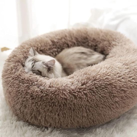 Minou dort paisiblement dans coussin pour chats Fluffy Cat
