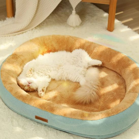 minou dort couché sur dos dans coussin pour chats Plouf Douillet