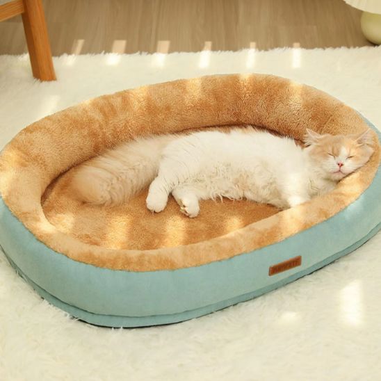 minou profondément endormi dans coussin pour chats vert Plouf Douillet