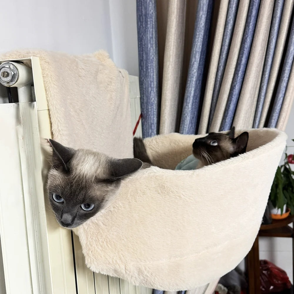 deux chats confortables lit radiateur