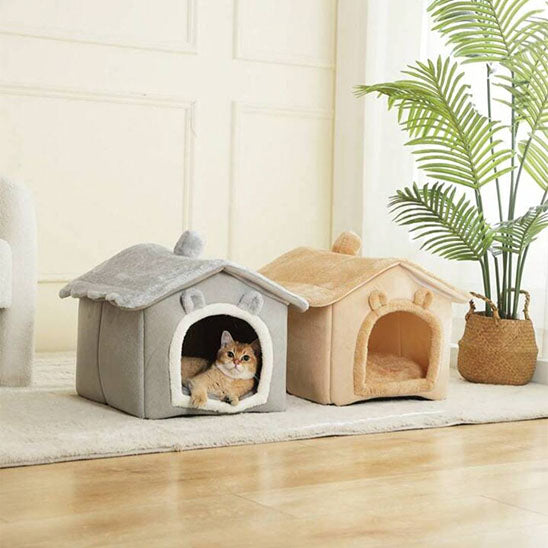 deux niche chat dessus tapis salon chatlet