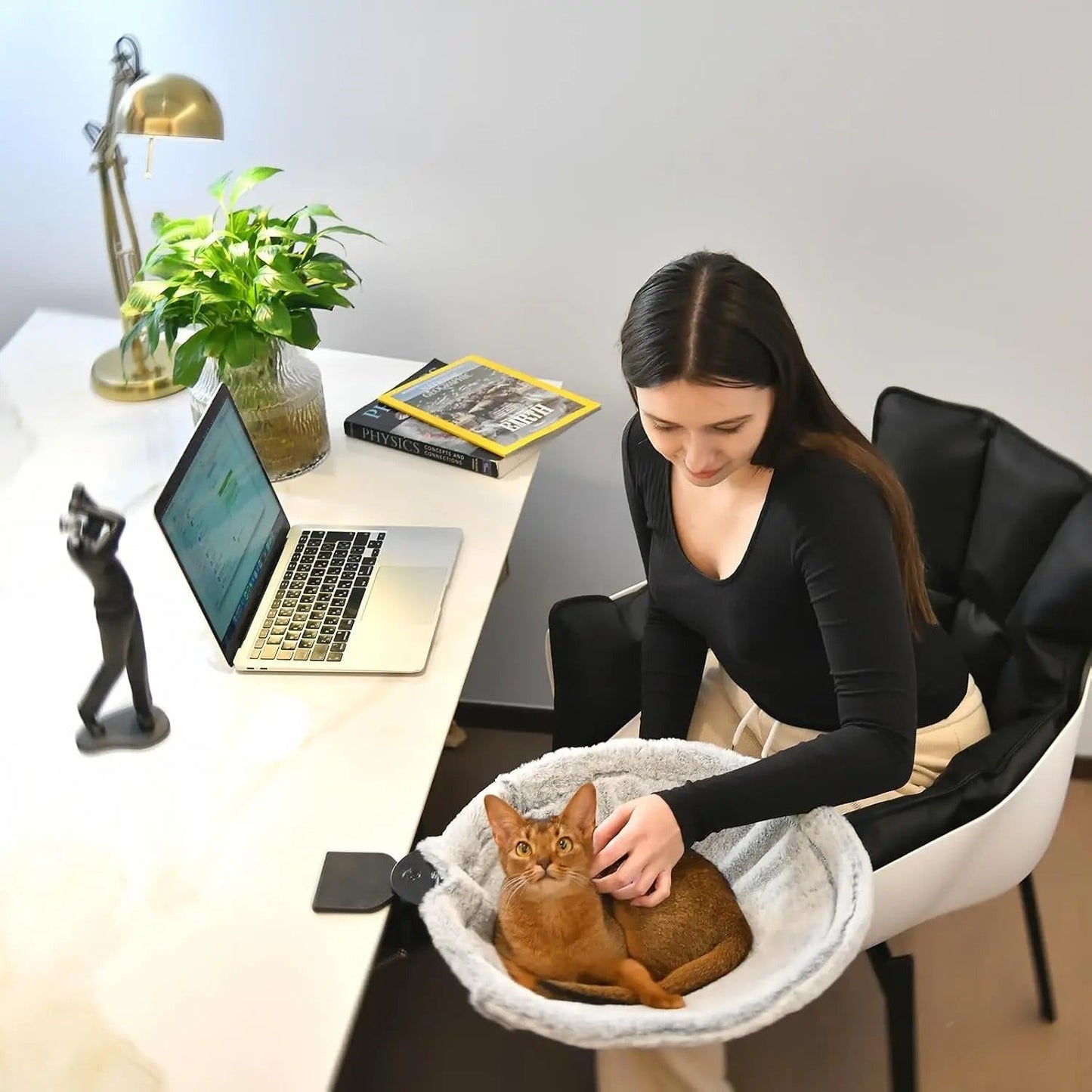 femme assis bureau flatte chat coucher lit accrocher bureau