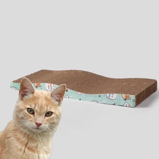 griffoir carton chat ondulé EcoDesign