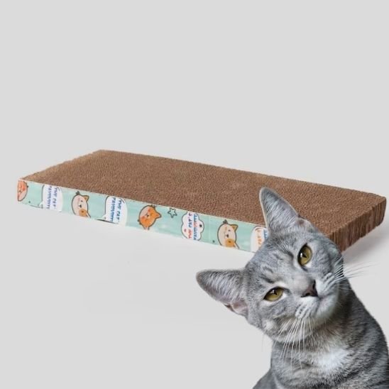 griffoir carton chat plat EcoDesign
